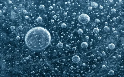 CO₂ Trends