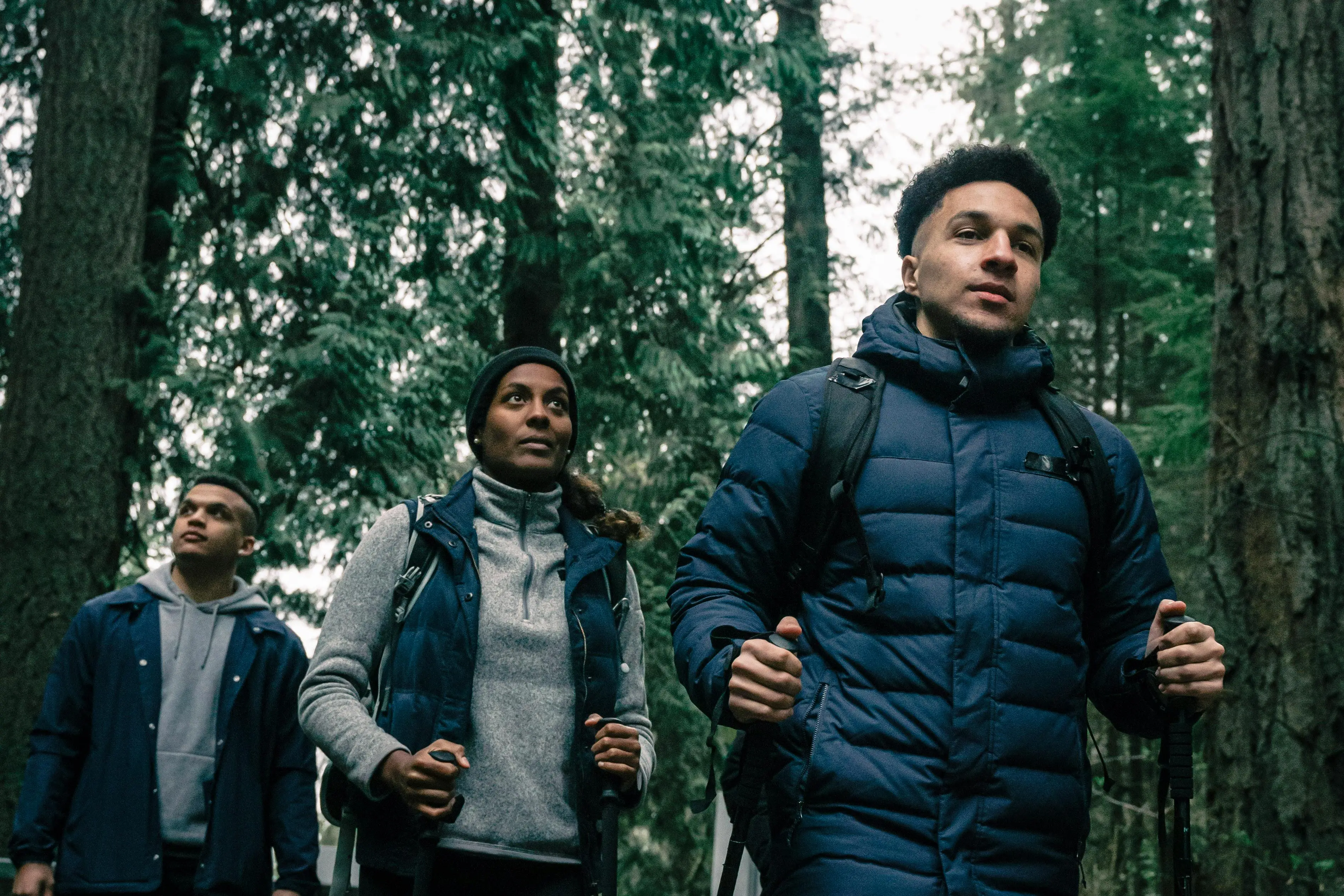 Night trek