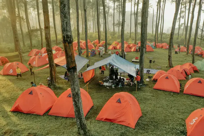 Group camping in tents